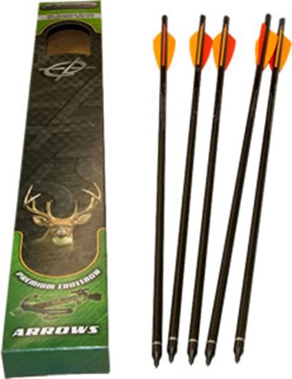 5-pk-20in-Headhunter-Arrows-w-Field-Pt