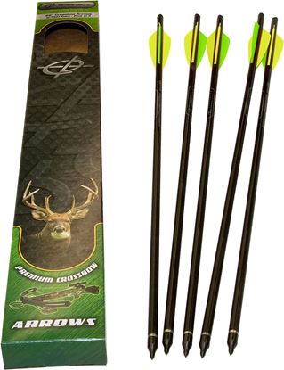 5-Pack-of-22in-Arrows-wField-Point