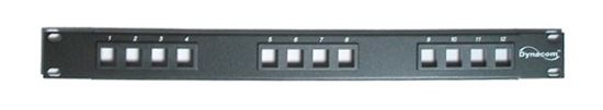 BLANK-PATCH-PANEL-12-PORT--1RU