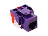 IC1078L6PR-CAT6-JACK-PURPLE-EZ