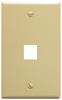 IC107F01IV---1Port-Face-Ivory-