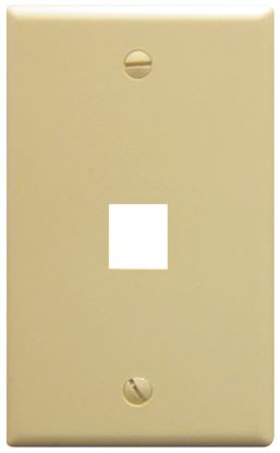 IC107F01IV---1Port-Face-Ivory-