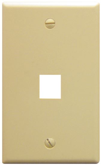 IC107F01IV---1Port-Face-Ivory-