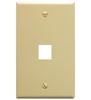 IC107F01IV---1Port-Face-Ivory-