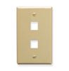 IC107F02IV---2Port-Face-Ivory-