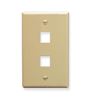 IC107F02IV---2Port-Face-Ivory-