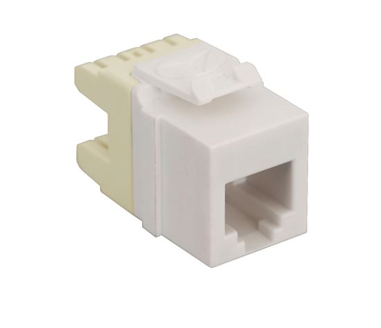 MODULE--VOICE--RJ-11--HD--WHITE