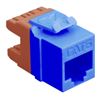 MODULE--CAT-6--HD--BLUE