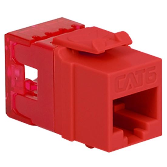 MODULE--CAT-6--HD--RED