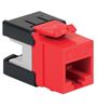 MODULE--CAT6A--HD--RED