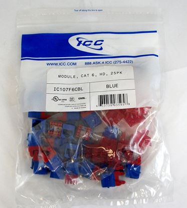 MODULE--CAT-6--HD--25PK--BLUE