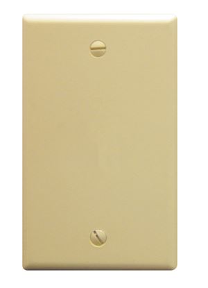 Flush-Wall-Plate-Blank-IVORY