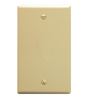 Flush-Wall-Plate-Blank-IVORY