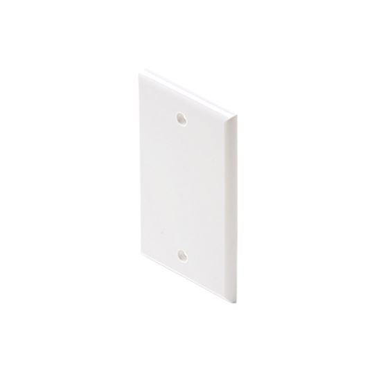 Blank-Ivory-Cover-Plate